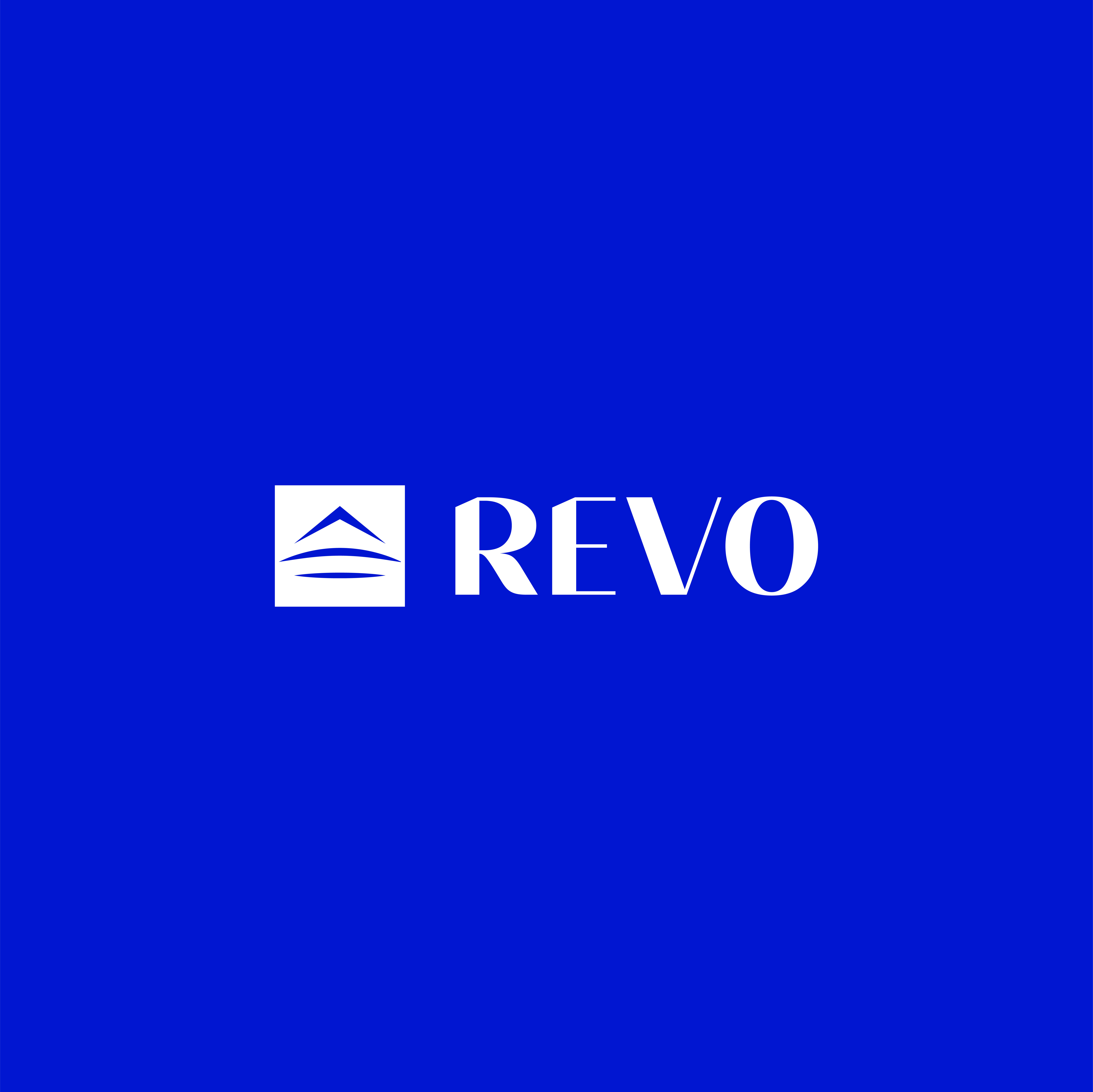 REVO — Real Estate Brand Identity branding building creative design designer graphic design graphics design logo logo design modern property real estate rent property