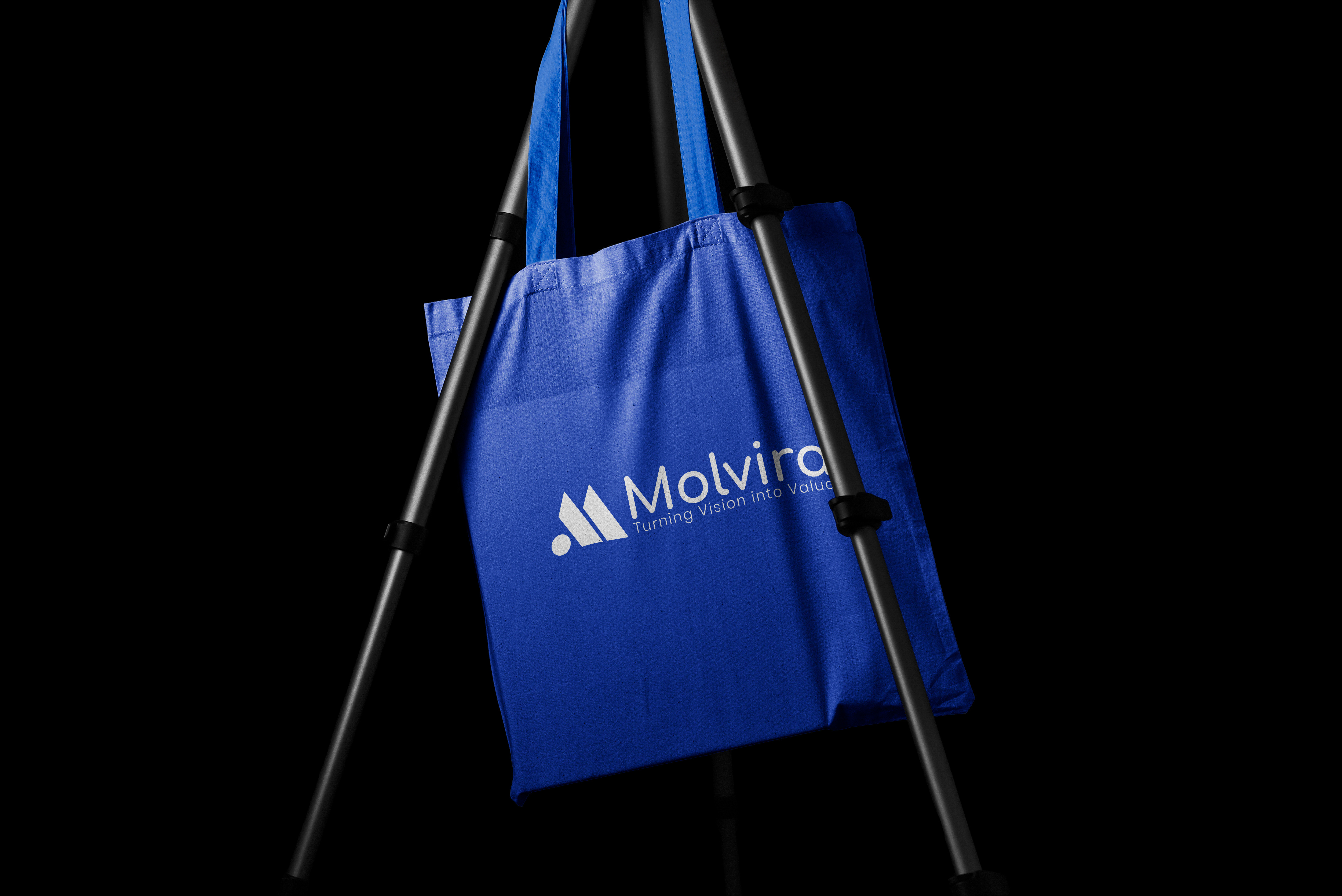 Molvira Logo and Brand Identity Design brand branding design graphic design illustration logo logodesign logos vector