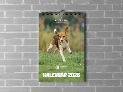 Calendar Design brand branding calendar design graphic design print shelter typography vector