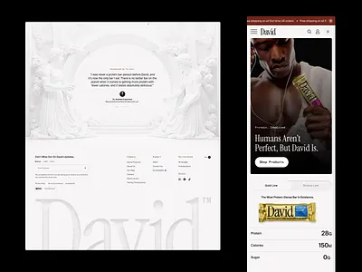 David | Concept #1 homepage protein shopify ui ux web design website website design