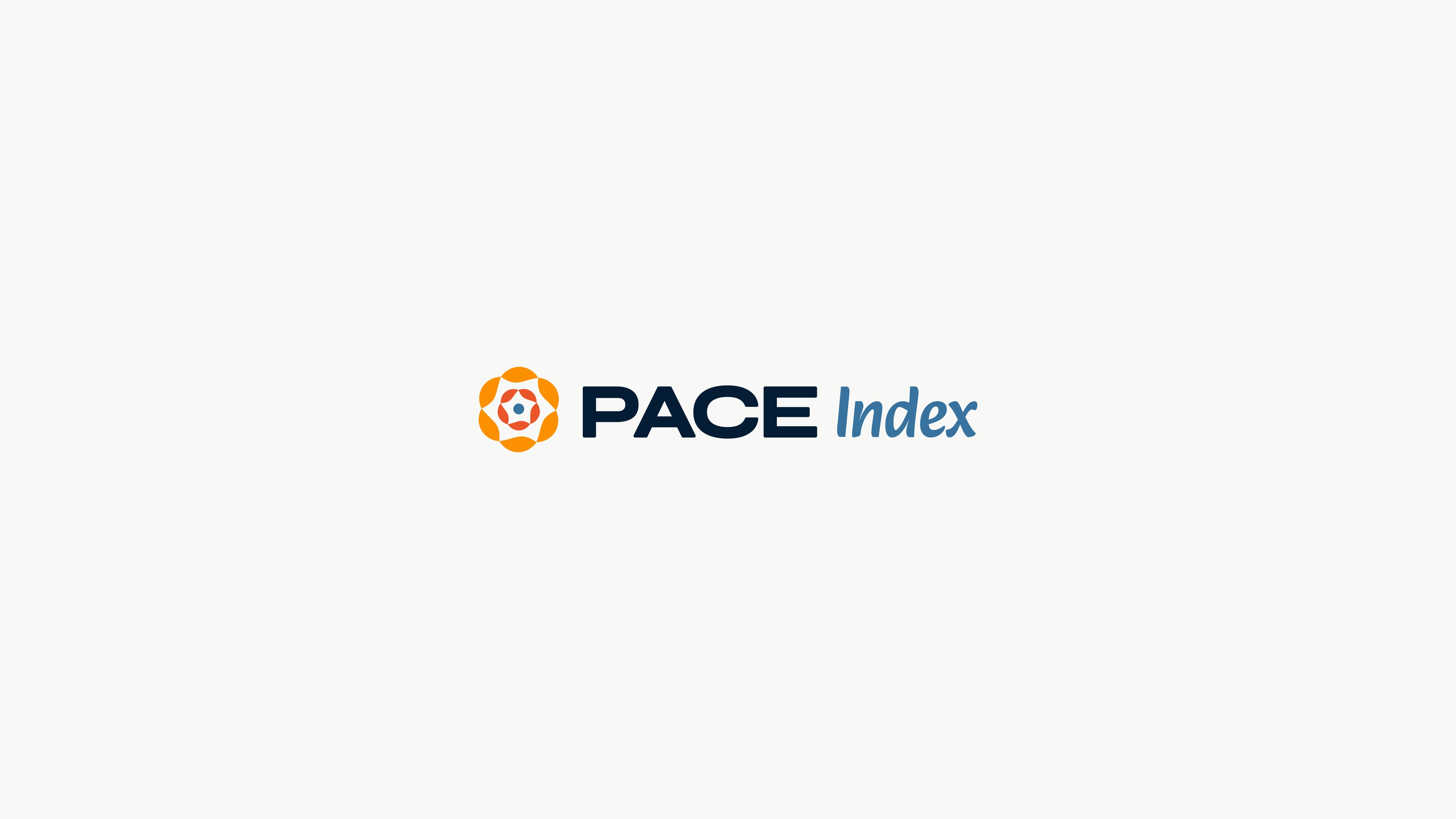PACE Index - Visual Identity adobe brand identity branding circle colorful curves design graphic design icon illustrator logo non profit orange petals playful vector visual identity