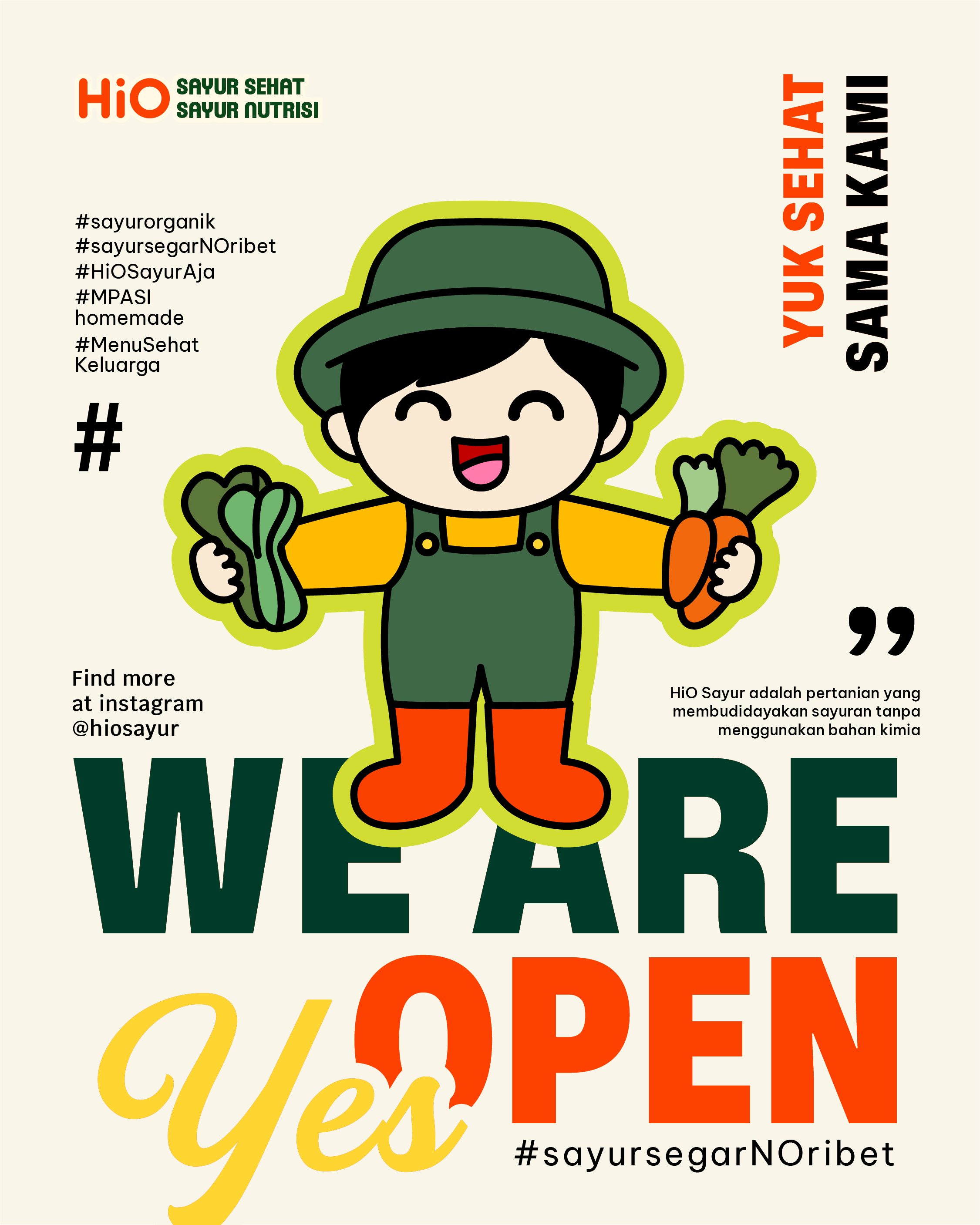 HiO Sayur-Social Media Design branding graphic design instagram design organic social media vegetable visual identity