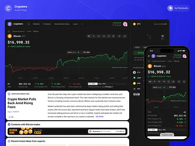 Crypsters: Asset Page Interface analytics assets bitcoin crypsters crypto cryptocurrency dark design graph interface market platform stats trade trading ui ux
