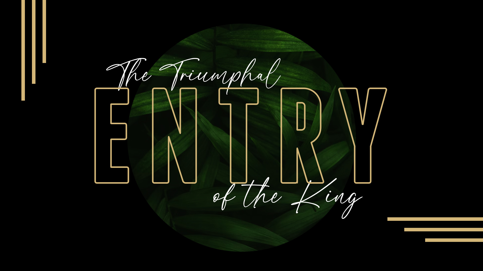 Sermon Graphic - Palm Sunday digital design graphic design illustration presentation