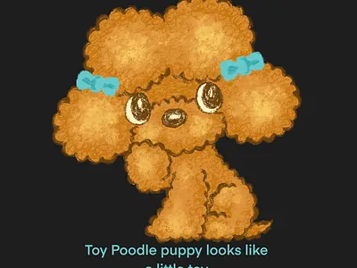 Toy Poodle puppy looks like a little toy animal character character design cute dog funny illustration kawaii puppy toy poodle