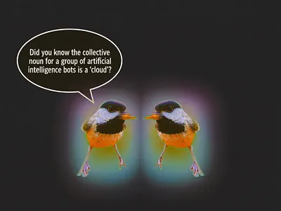 BirdQuotes