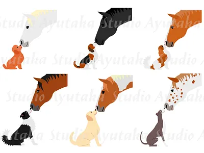 horse and dog kissing bundle animal cartoon cute design dogs graphic design horse illustration kiss love