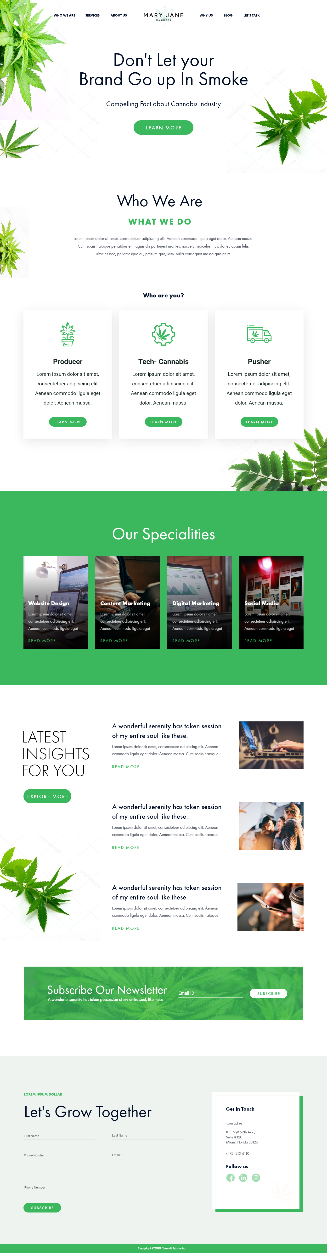 Mary Jane design graphic design ui ui design webdesign website design