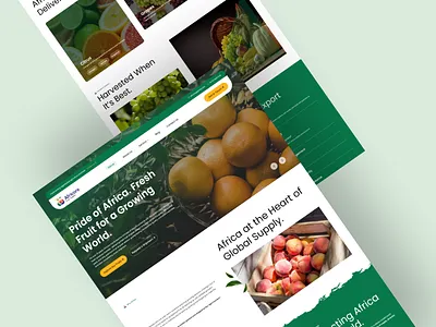 Africore – Fresh Produce Export Website UI agribusiness agriculture branding clean design design inspiration digital experience dribbble food export food industry fresh produce fruits global supply landing page modern ui organic responsive design sustainability ui design ux design web design
