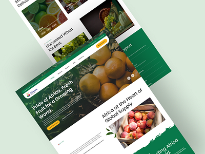 Africore Export
