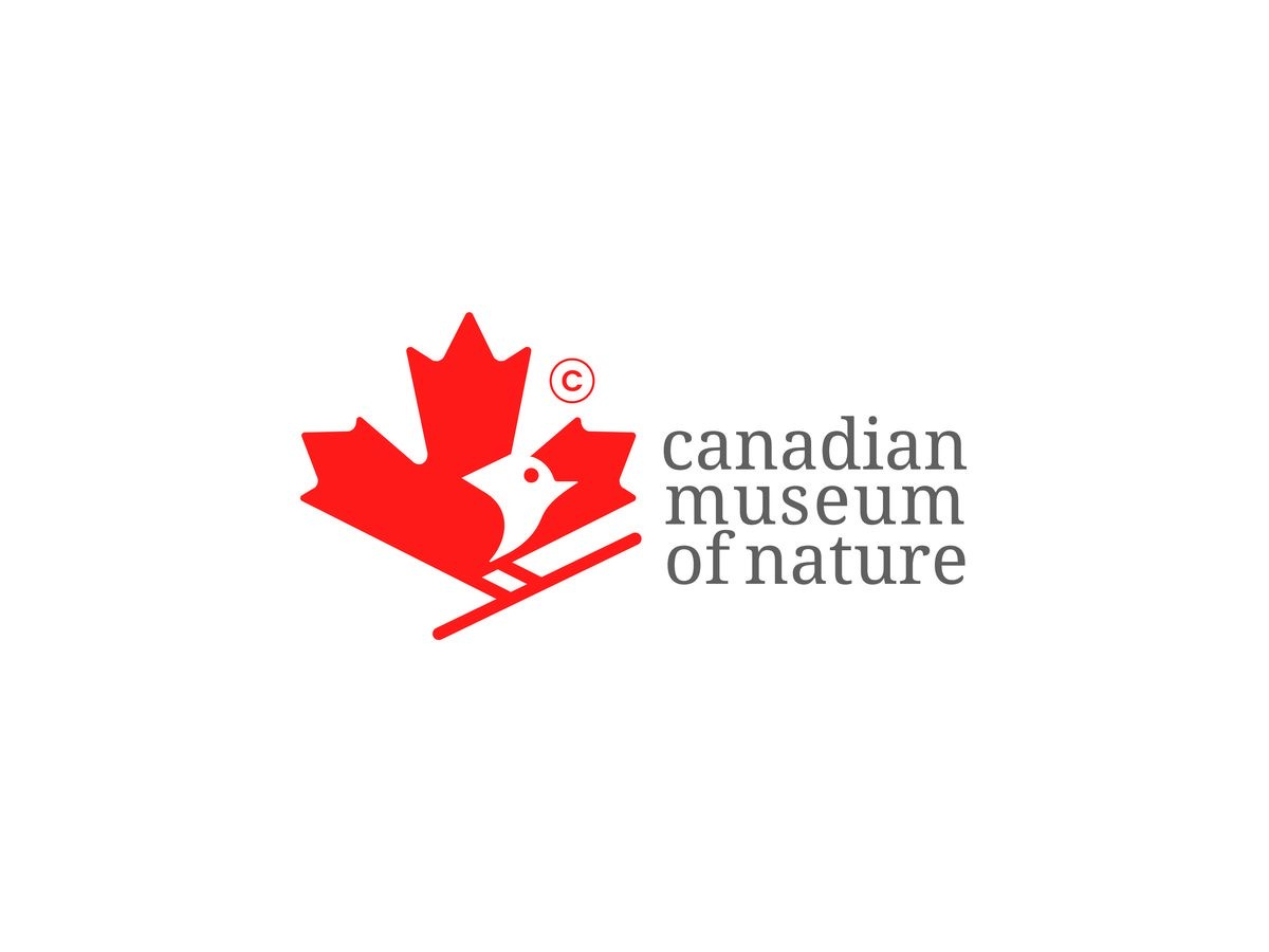 Canadian museum of nature bird canada leaf logo mapple nature sparrow tree