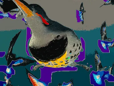 NoCoFlicker