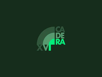 XVI CURSO COT brand branding cadera cot course design doctor graphic design hip logo medical medical branding