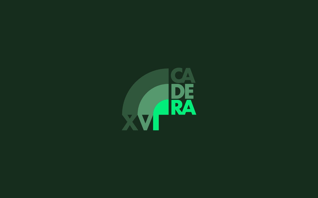 Example of XVI CURSO COT