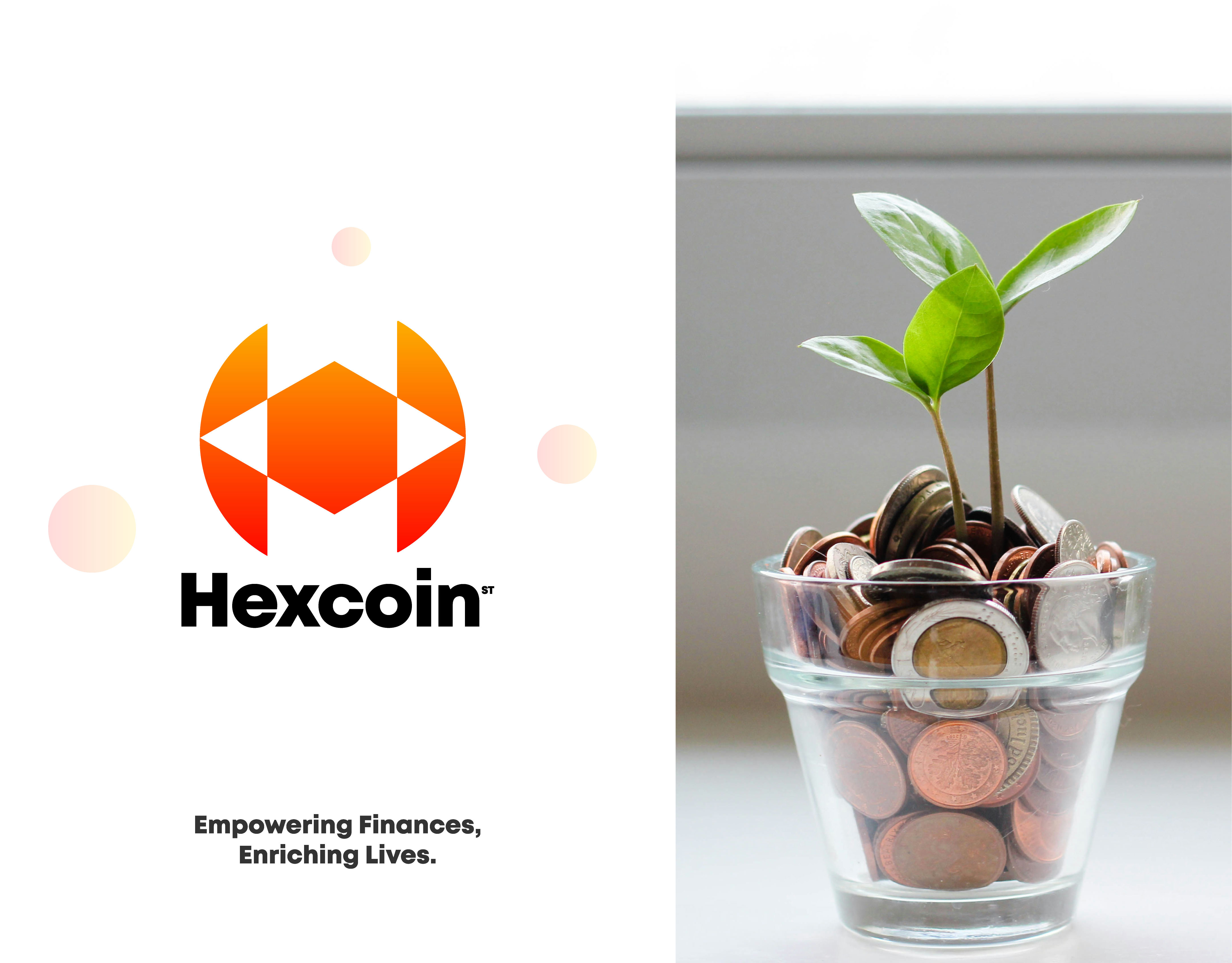Hexcoin - H logo, H letter, Crypto, Money, Tech, UI, AI, App ai branding creative logo crypto cryptocurrency gradient logo graphic design h blockchain logo h crypto logo h letter logo h logo h tech logo logo design logo designer modern h logo modern logo sass ui website