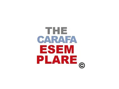 ESEMPLARE - THE CARAFA brand brandidentity branding company corporate corporateimage design digital esemplare graphic design grey identity illustration image logo red society