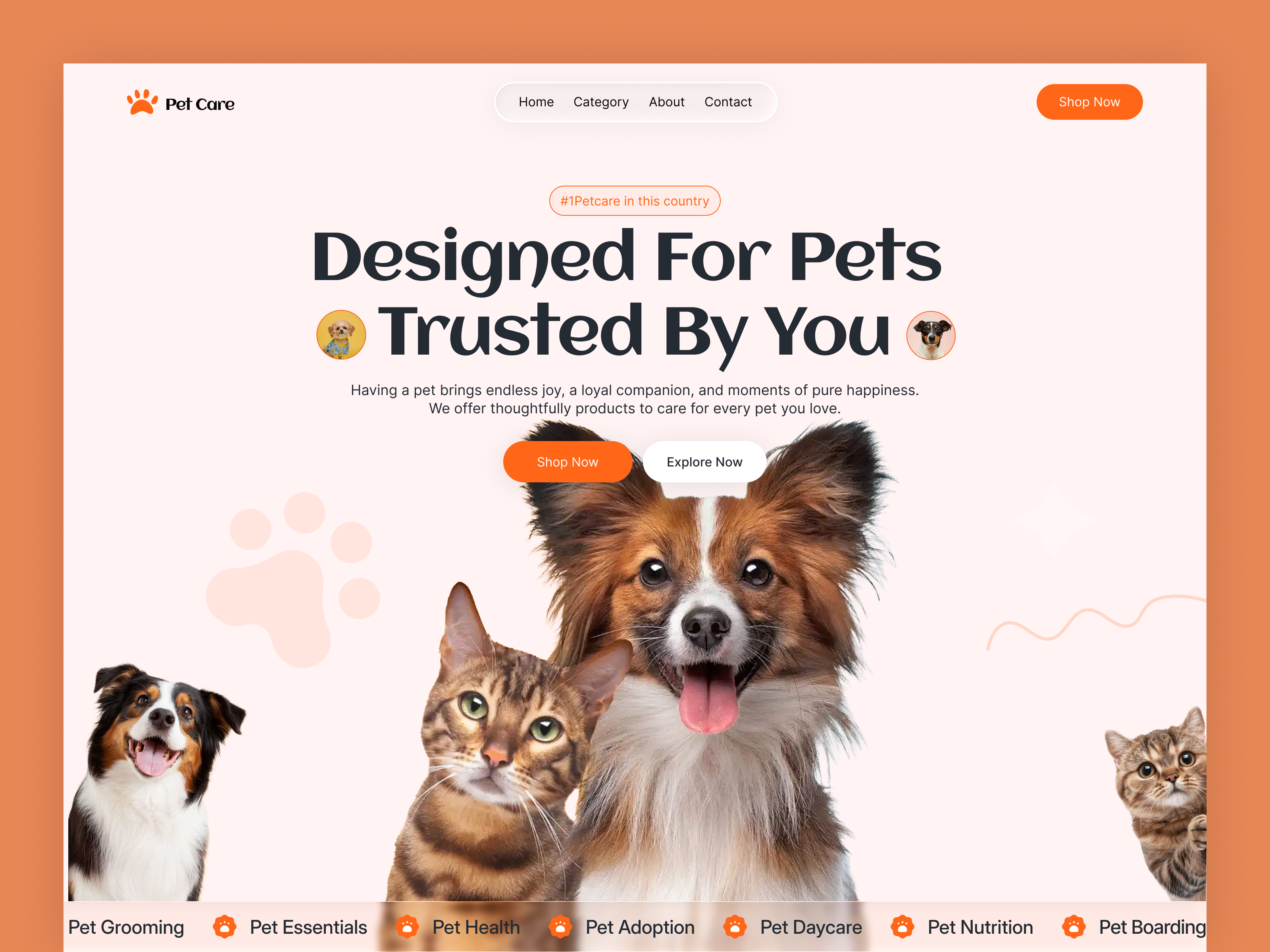 Pet Care Landing Page adoption animal cat dog landingpage pet pet care pet doctor pet food pet health pet love pet website puppy vet web design webpage website website design
