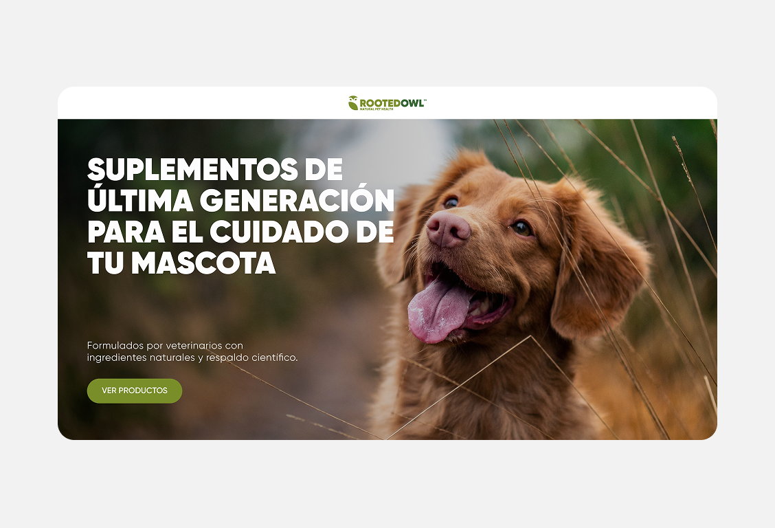 Website Hero Design - Pet supplements branding figma ui design web design webflow