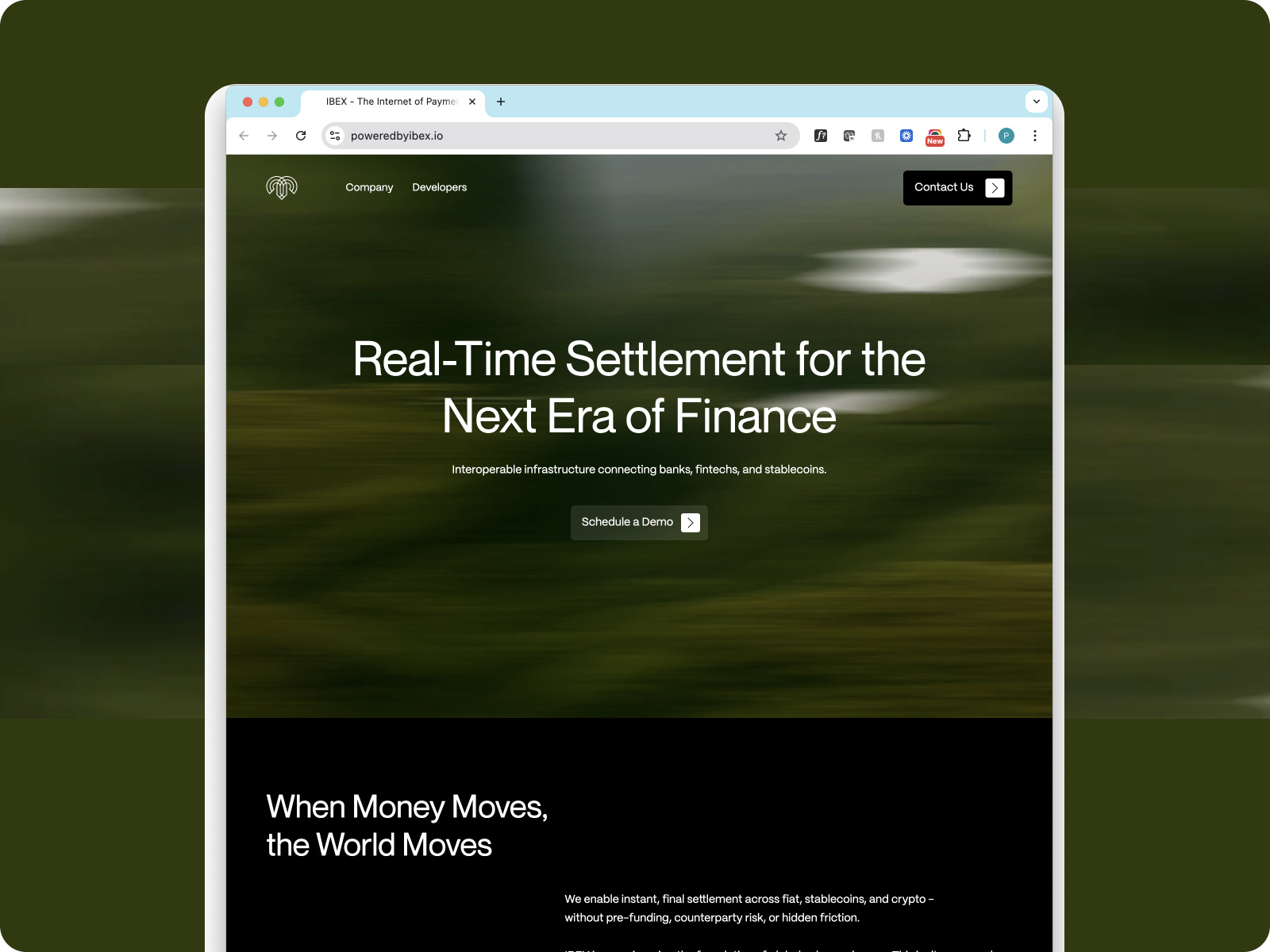Ibex Moderns Webiste built entirely in Figma
