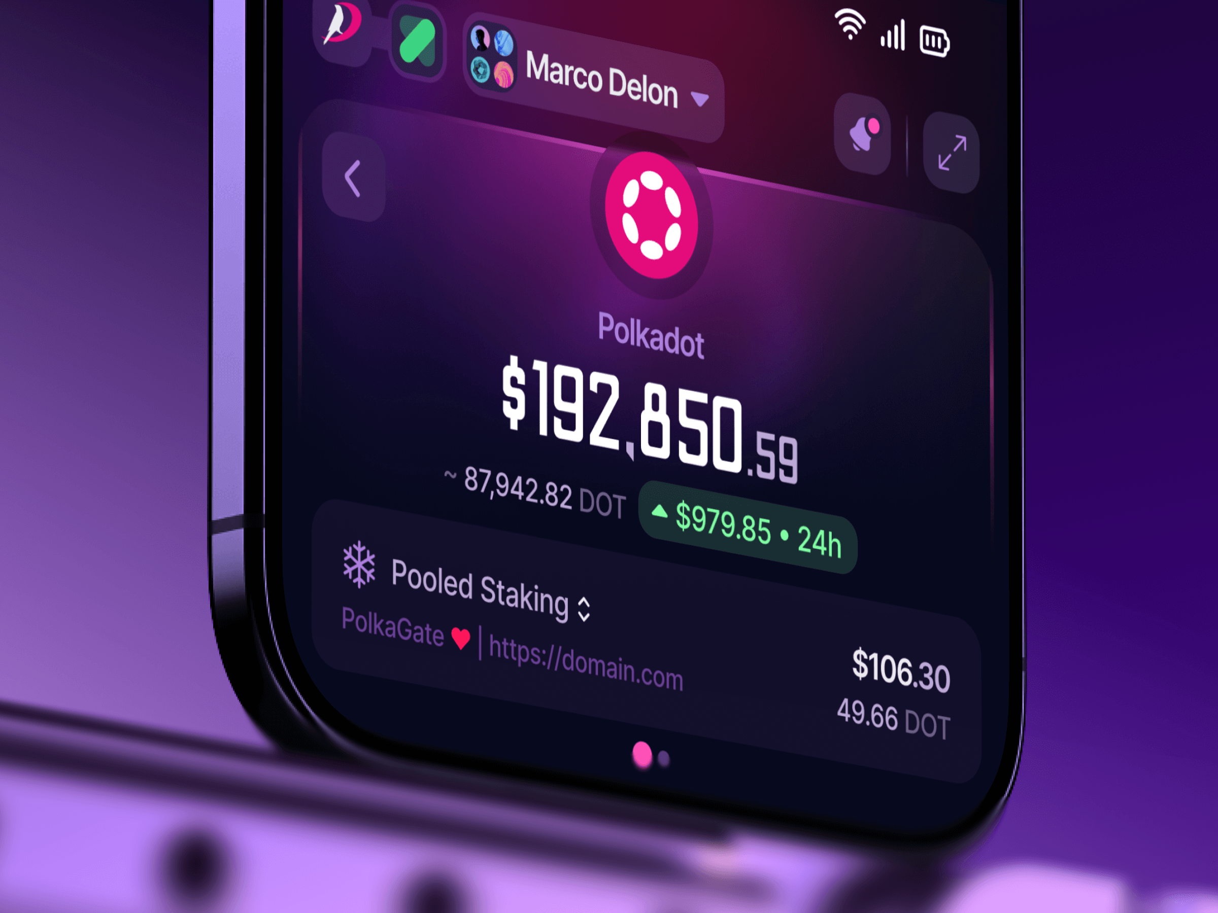 Example of PolkaGate: Crypto Token Page Management