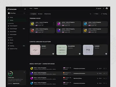Voice Generator Web App - Dashboard UI aiproduct dashboardui productdesign uidesign uxdesign