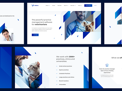 Vetera - landing page bootstrap clean design cta desktop features list header home page icons landing page lead text management tool photo top navigation veterinarian web design
