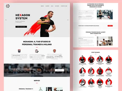 Hexagon System design graphic design web design wordpress