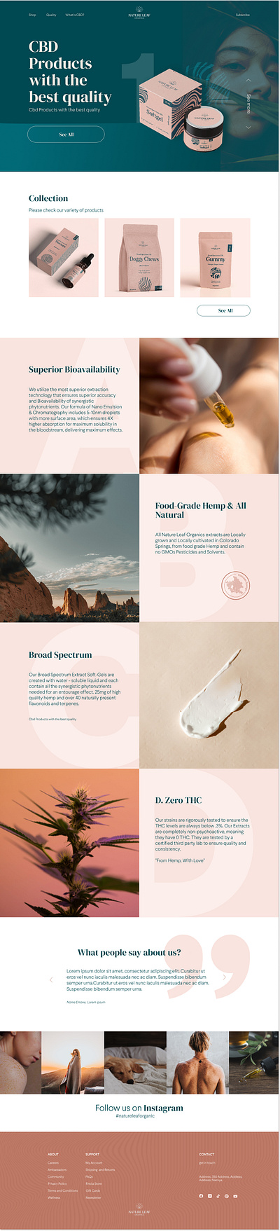 CBD web design design graphic design ui ux