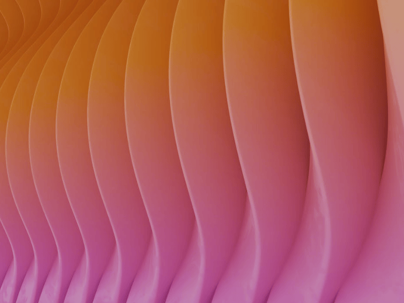 Accounting Mobile App | Animation | UX/UI Design accounting animation branding dashboard design finance graphic design jitter mobile mobile app mobile ui motion graphics ui ux