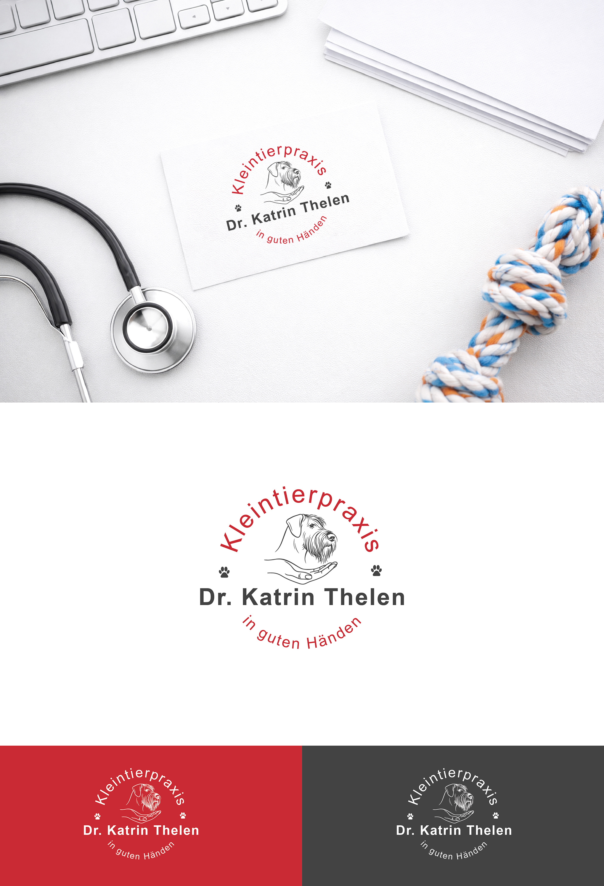 Example of Premium Logo Design | 3 Concepts