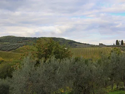 Serenity in Tuscany – Capturing Nature with AI ai art aigenerated calmscenes creativeai digital art digitallandscape dreamylandscapes italyviews landscape landscapedesign motiondesign naturewithai olivetrees rollinghills scenicbeauty tuscany visualpoetry