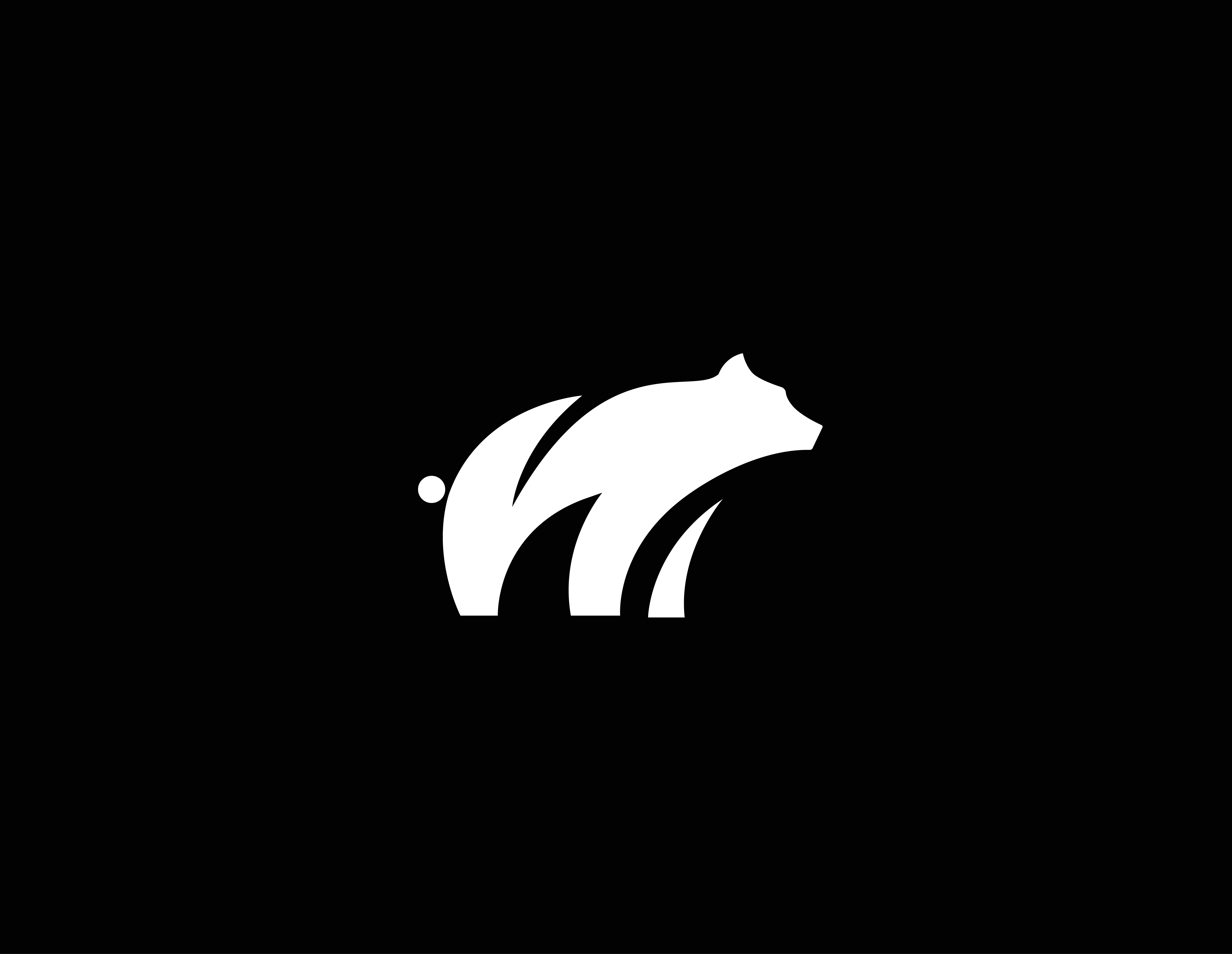 Example of Bear logo