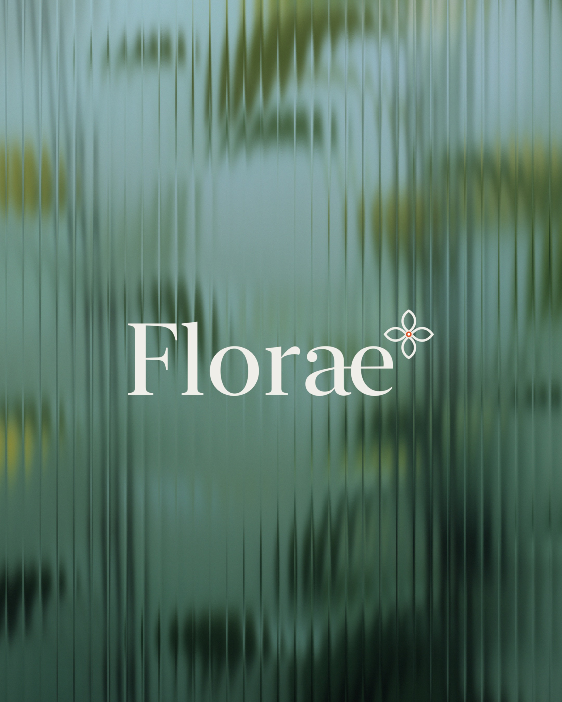 Example of Art Direction & Brand Identity Design 