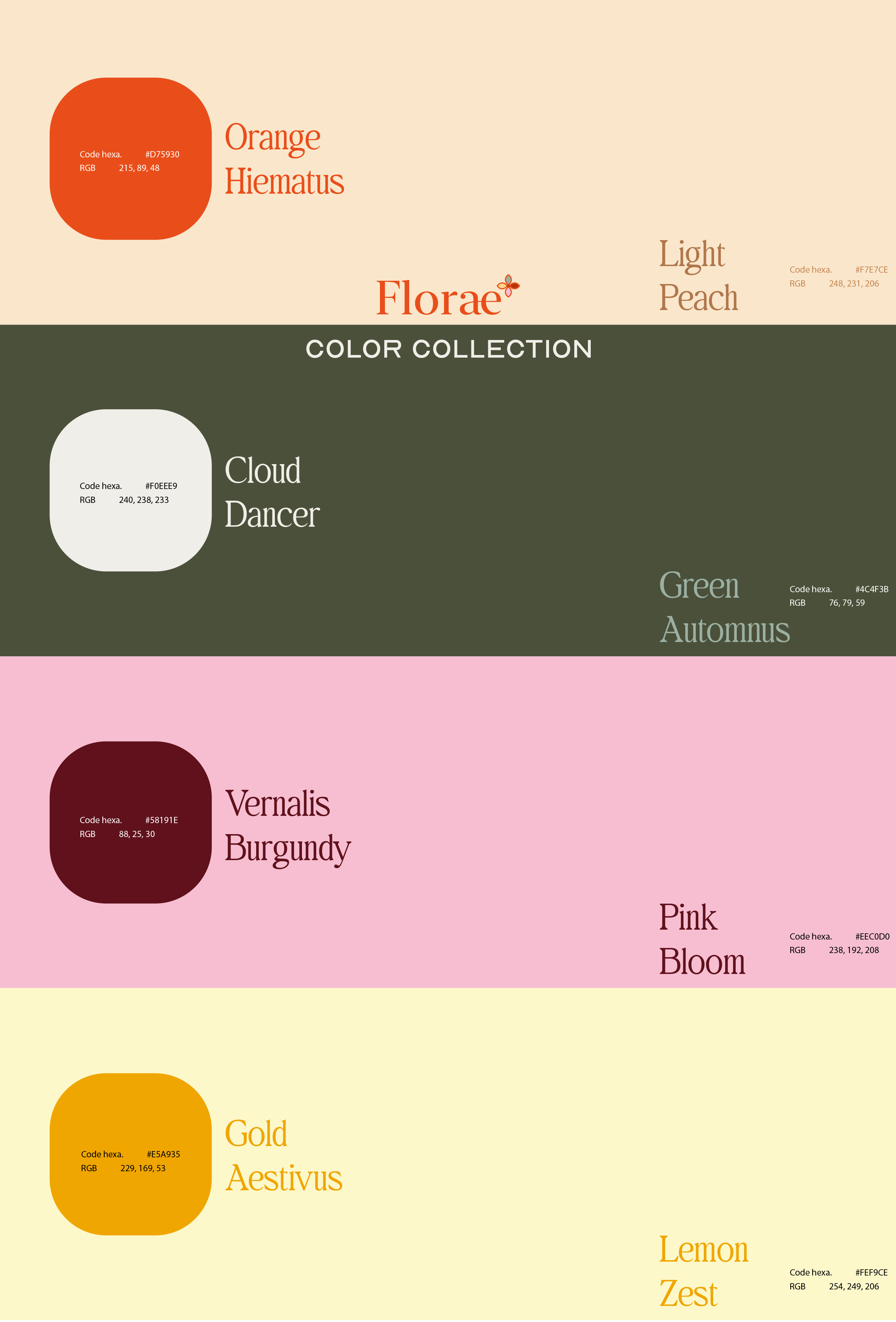 Example of Art Direction & Brand Identity Design 