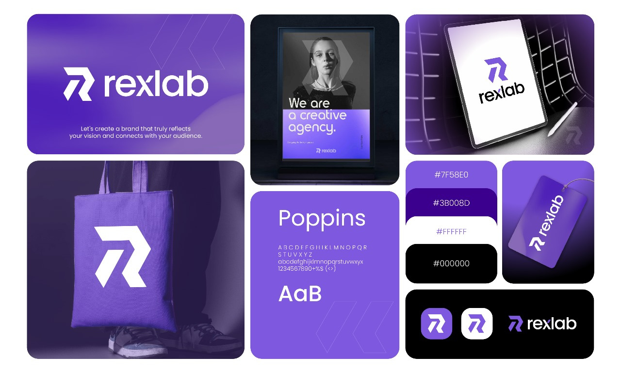 Example of Logo And Brand Style Guide Design