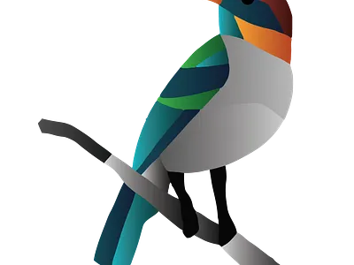 bird 3d animation branding design graphic design illustration logo motion graphics ui vector