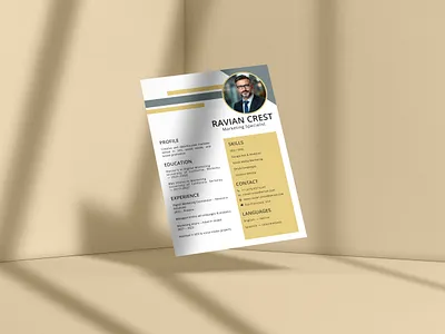Professional CV That Gets You Noticed brand identity branding business branding creative post cv design graphic design job search modern cv personal brand professional cv resume design visual identity