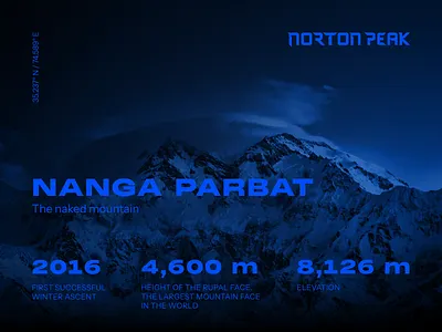 Norton Peak – Nanga Parbat blue branding graphic design himalaya himalayan mountains infographic mountain view mountains nanga parbat norton peak statistics stats watch brand