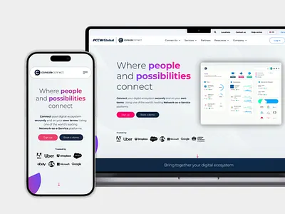 Console Connect website design branding design graphic design ui web website