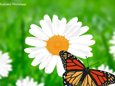 Animation - Spiral Path - Butterfly animation graphic design
