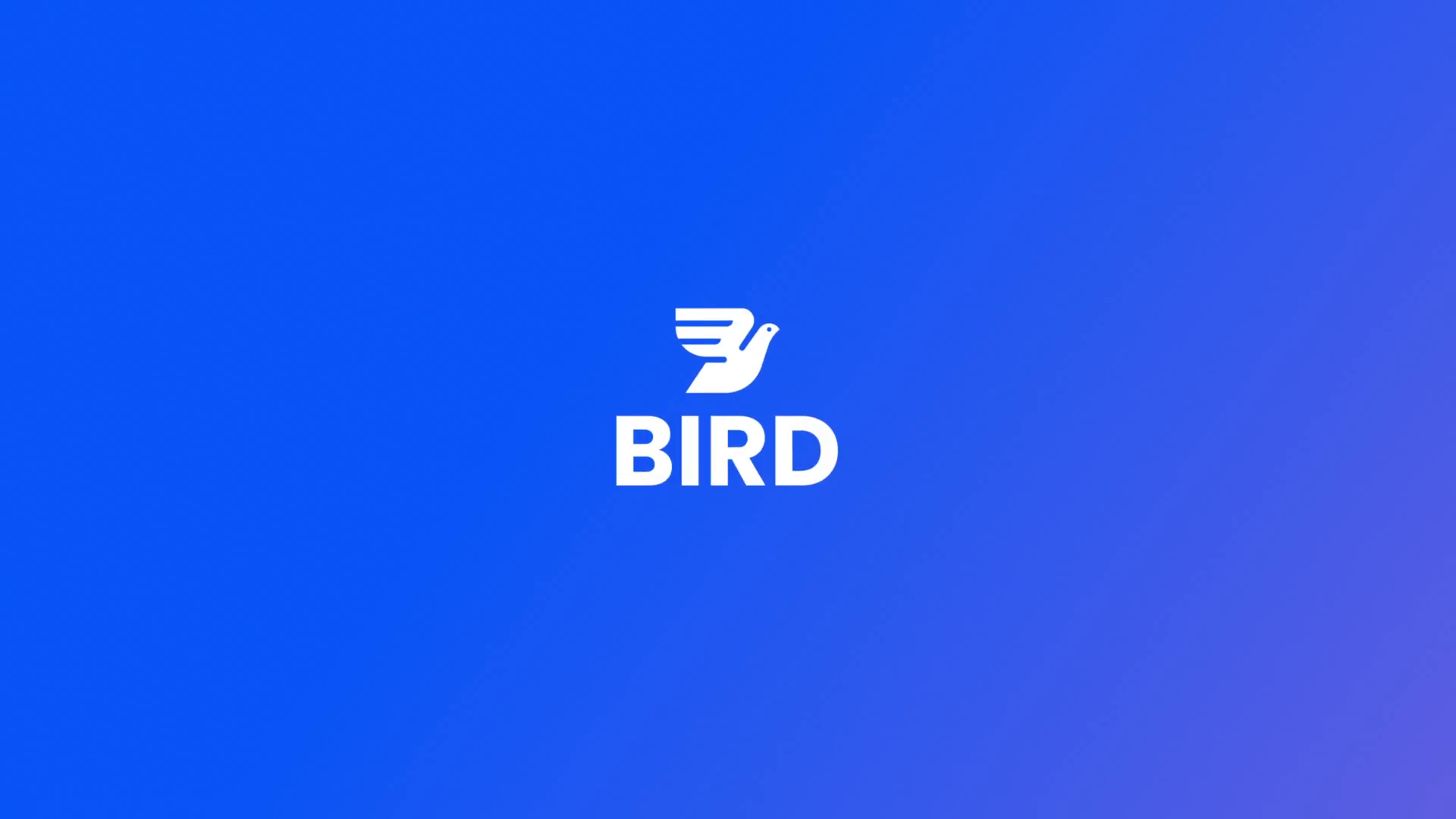 Bird | Product Promo Video | Motion Graphics after effects animation brand video motion graphics promo video ui animation