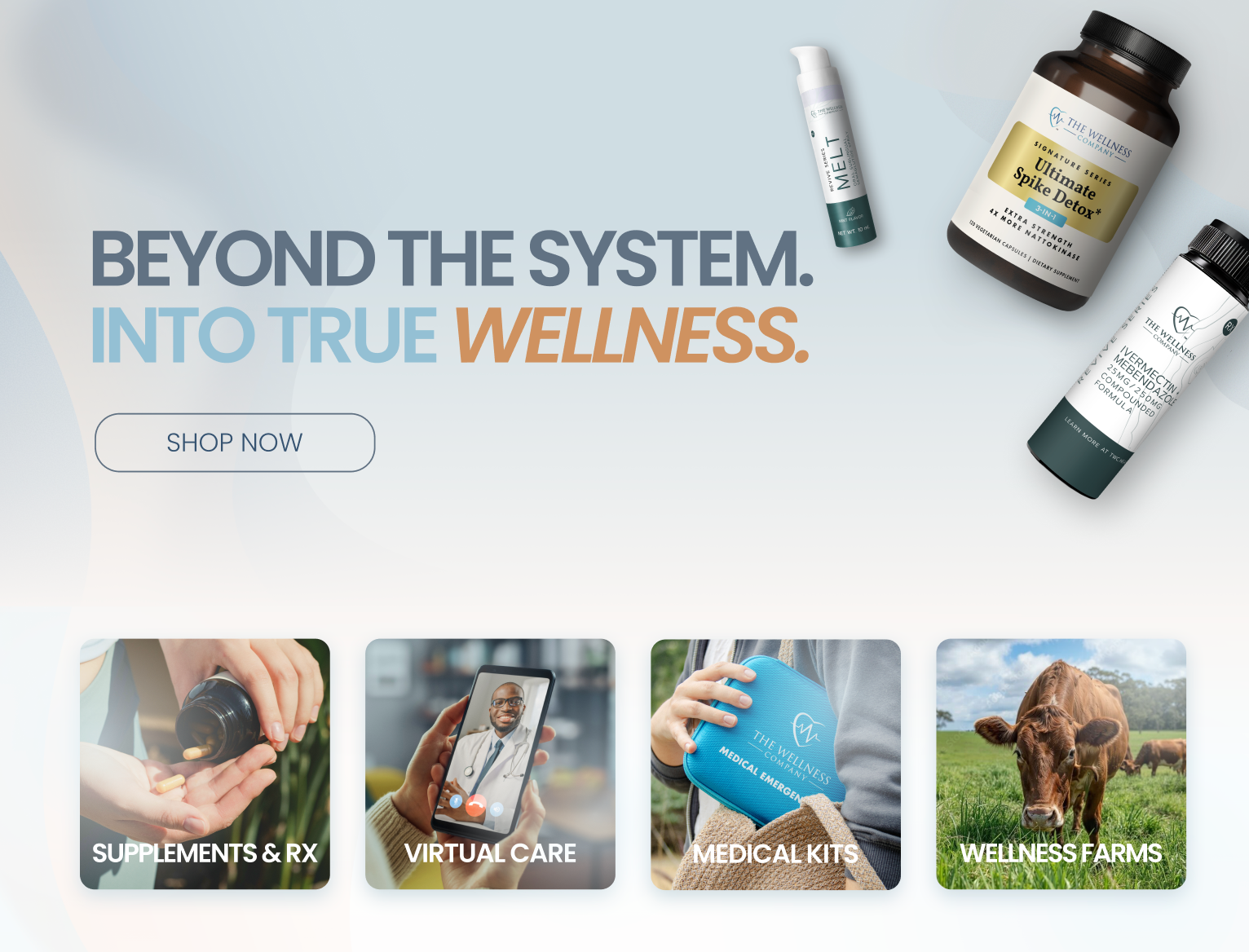 Example of Web Design