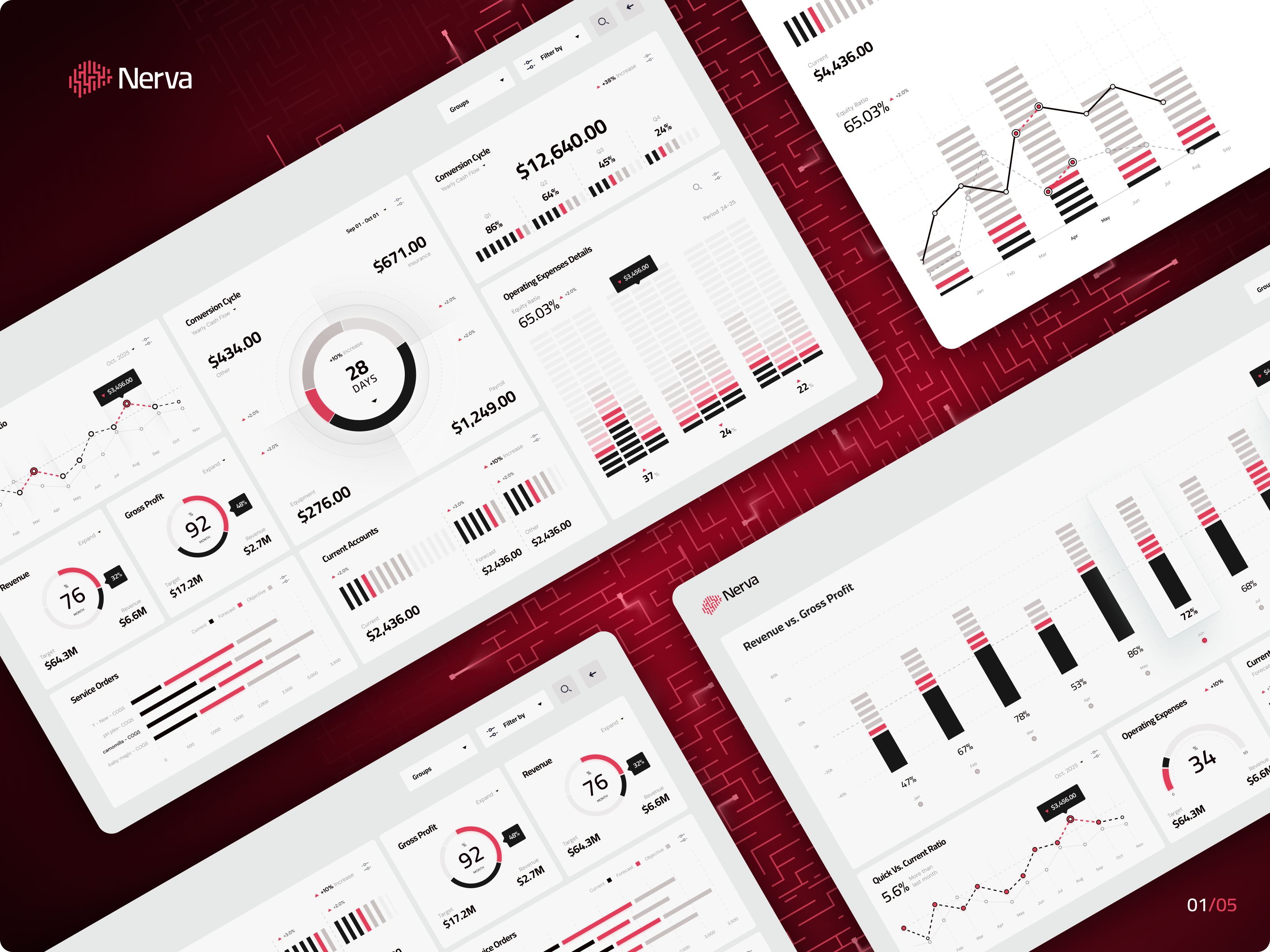 Example of Nerva Dashboard – UI/UX Exploration for Finance Analytics (1/5)