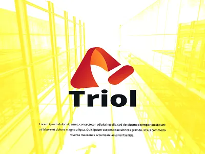 Triol logo branding design abstract advertising brand identity branding business business branding business logo corporate corporate identity design graphic graphic design icon icon logo logo logo branding marketing minimal modern logo vector