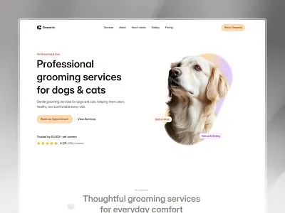 Groomix - Hero section design framer framer ui gromix grooming grooming page groomix hero section ui ui design web web design web ui
