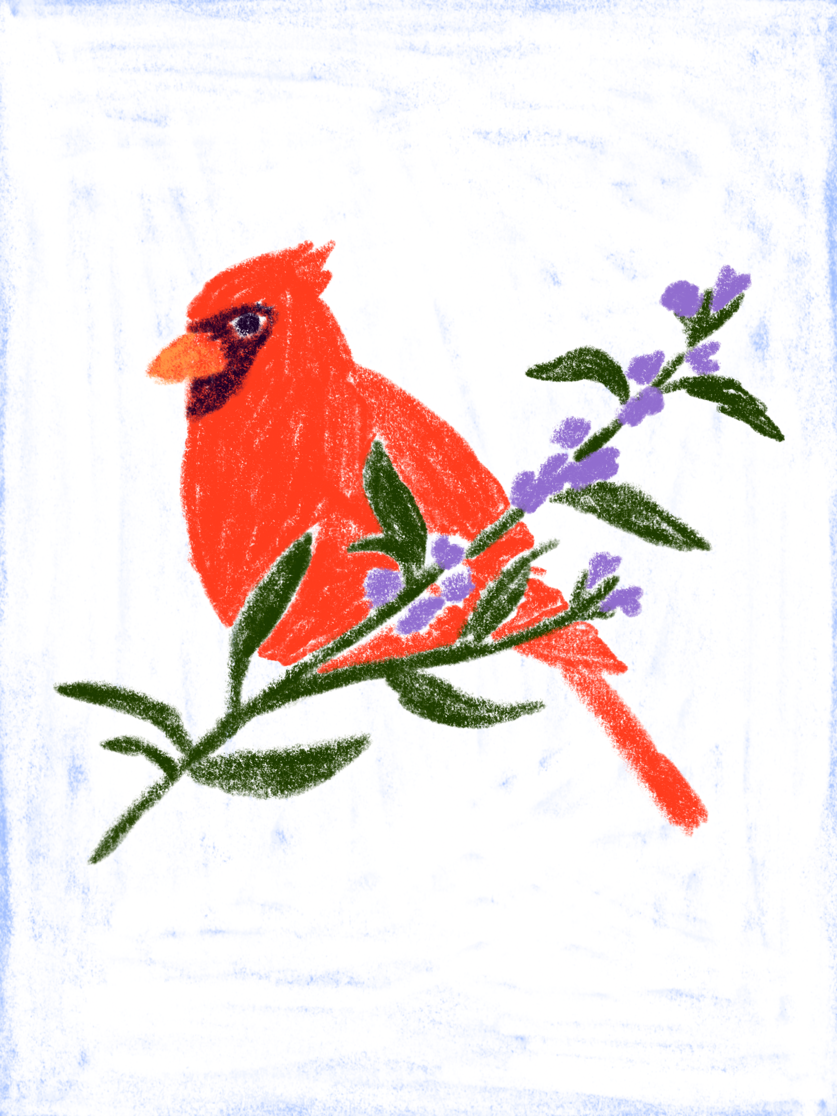 Psalm 51 bird branch cardinal floral hyssop psalm snow winter