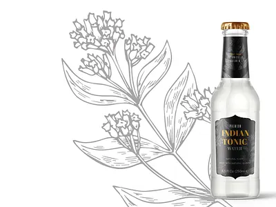 Indian Tonic Water branding illustrator packaging photoshop