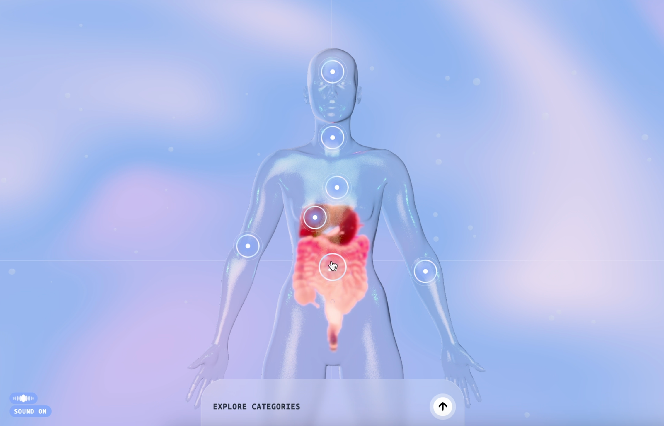 Vibrant Wellness immersive experience 3d 3d body 3d navigation 3d website animation creative design gsap health healthcare hotspots hover human body navigation organs storytelling threejs web website wellness