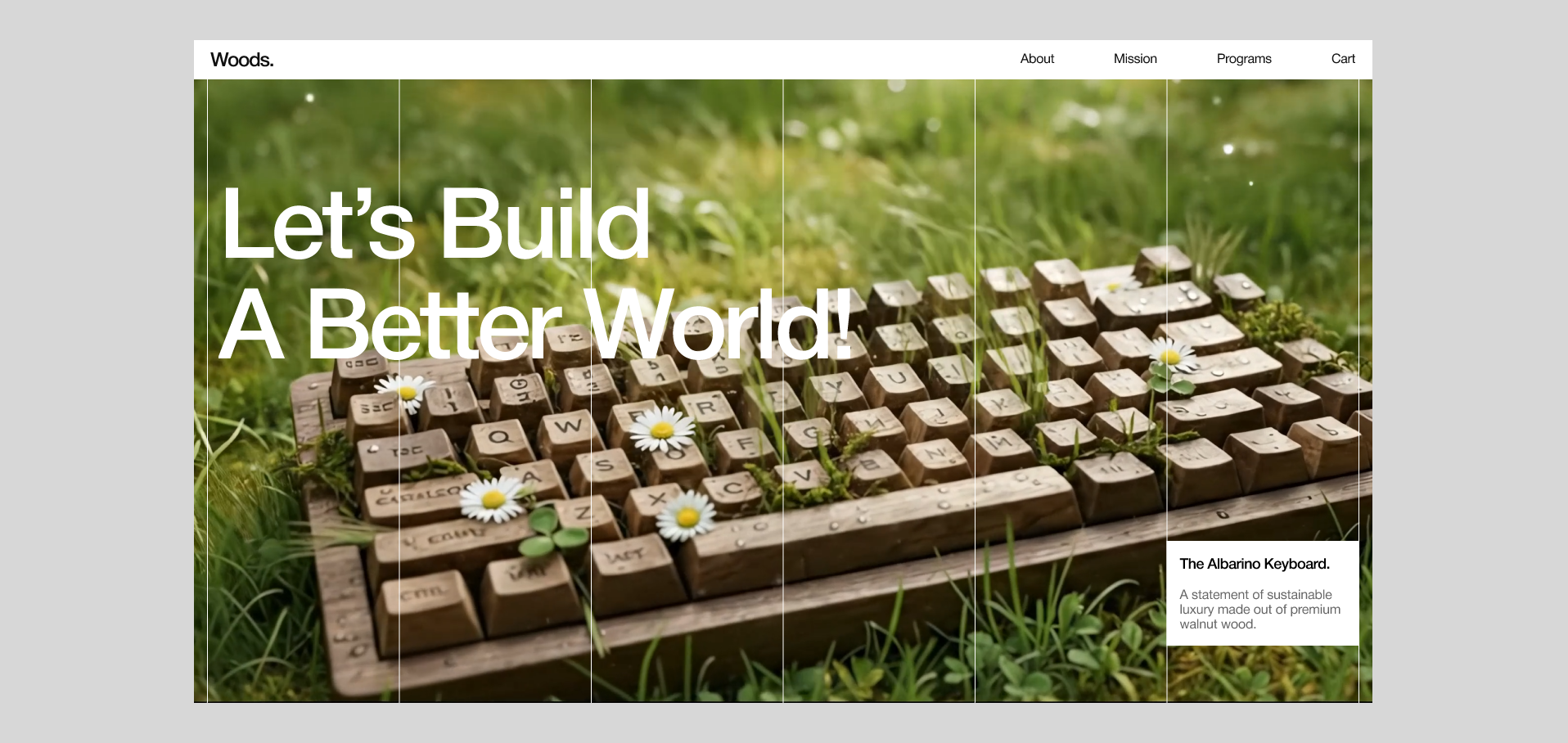The Woods Project - A Website Concept animation web design