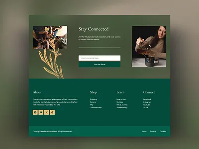 Website Footer beverage cup earthy elementor footer form green natural newsletter form newsletter subscription organic subscription teacup template ui uiux ux webdesign website wordpress